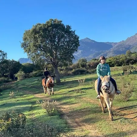 Avec Terrasse Et Vue Piscine, Proche Σπίτι διακοπών *