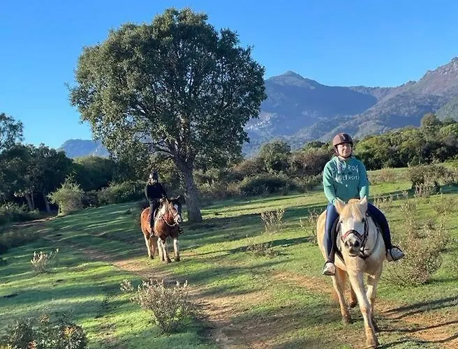 Avec Terrasse Et Vue Piscine, Proche Holiday home *