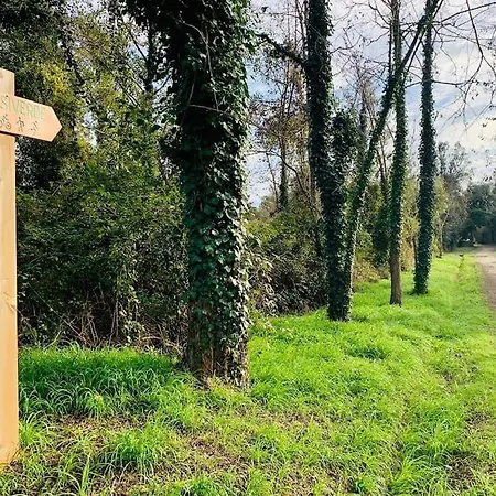 Avec Terrasse Et Vue Piscine, Proche Feriehus Moriani-Plage