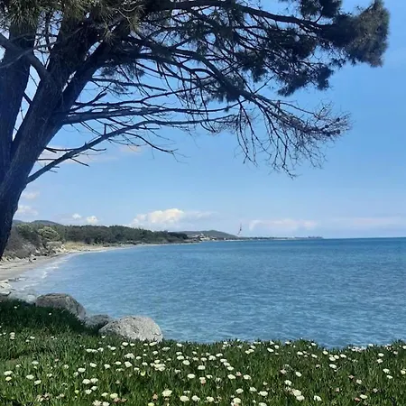 Feriehus Avec Terrasse Et Vue Piscine, Proche Moriani-Plage