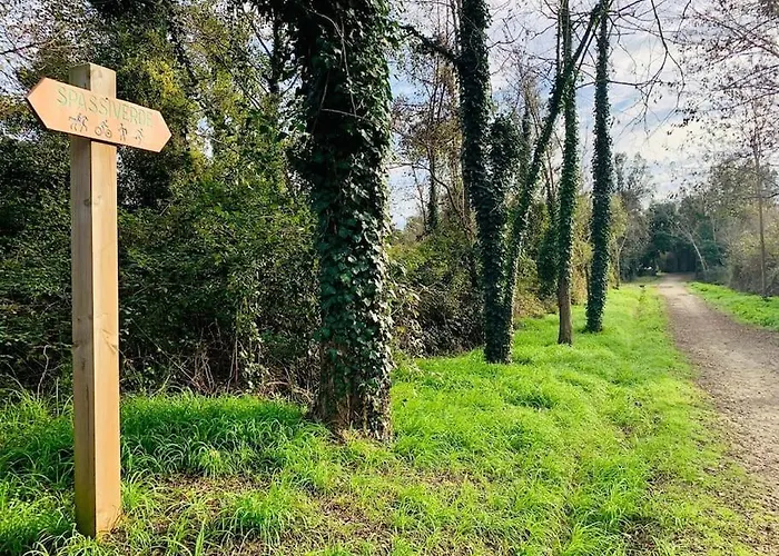 Avec Terrasse Et Vue Piscine, Proche Ferienhaus Moriani Plage