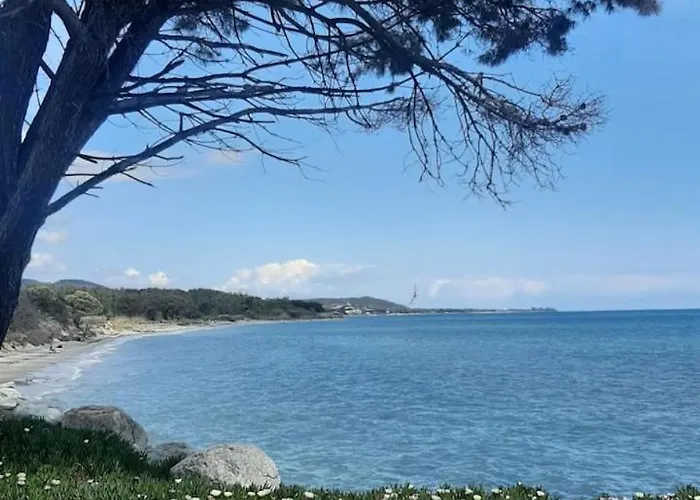 Feriehus Avec Terrasse Et Vue Piscine, Proche Moriani-Plage